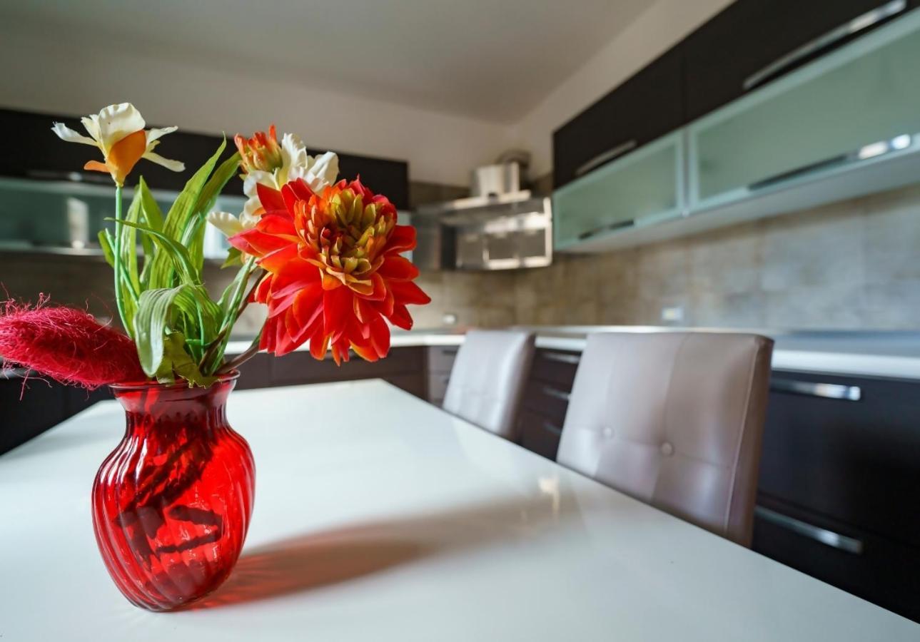 Guest Friends Apartment Trapani Bilik gambar